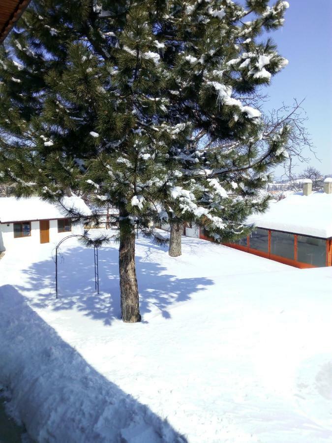 Bolyarski Stan Guest House Великий Преслав Екстер'єр фото